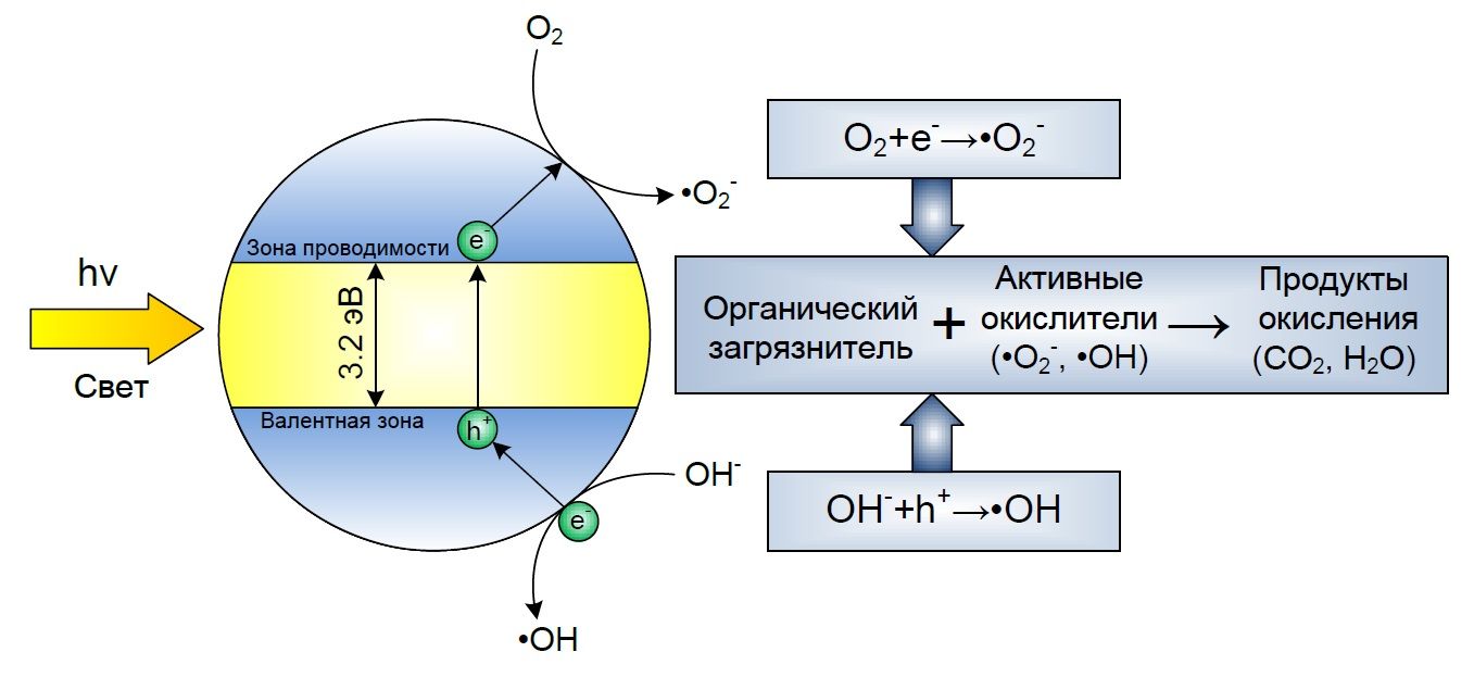 Схема образования частиц на поверхности TiO2 под действием света